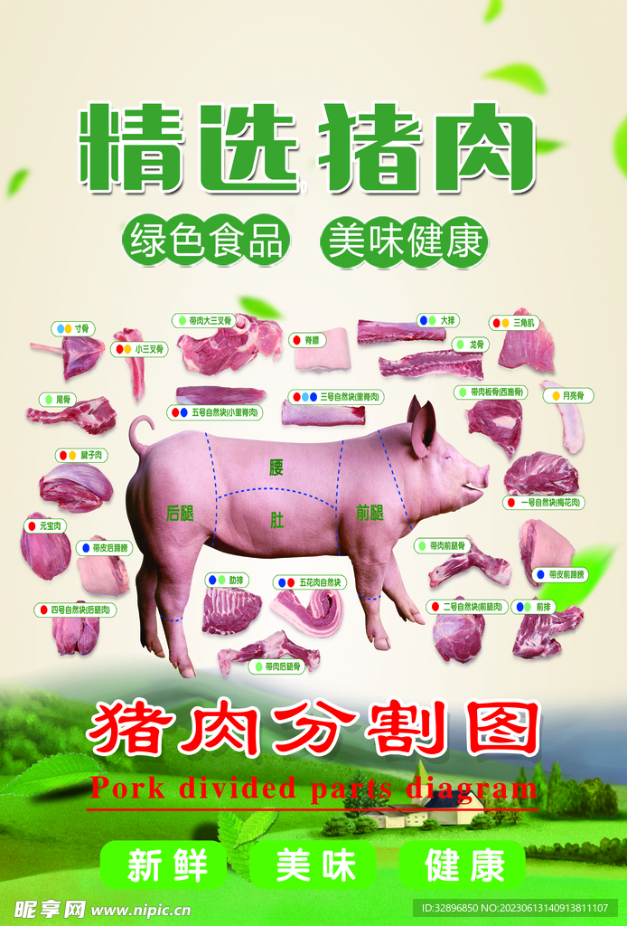 猪肉分割图