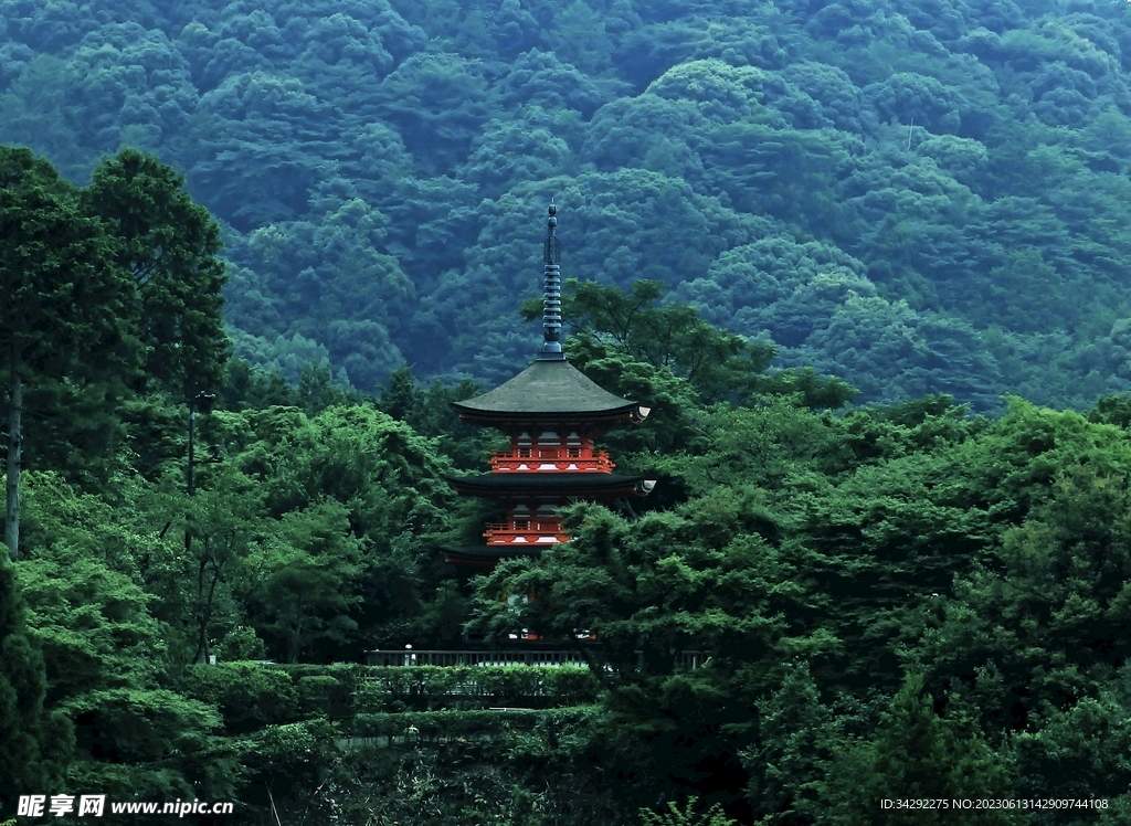 森林寺塔风景