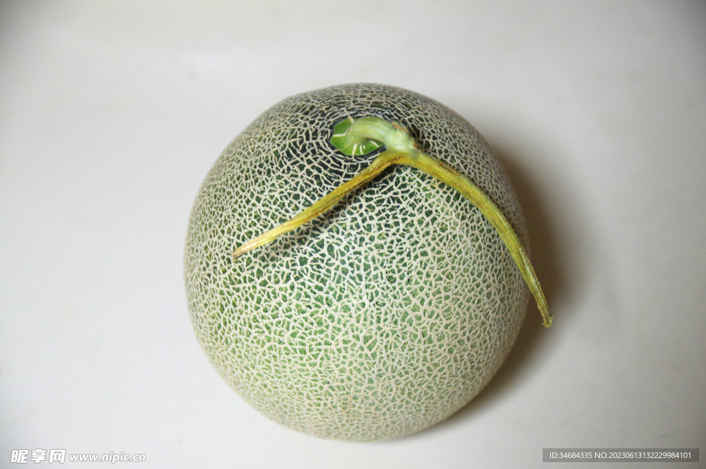 哈密瓜