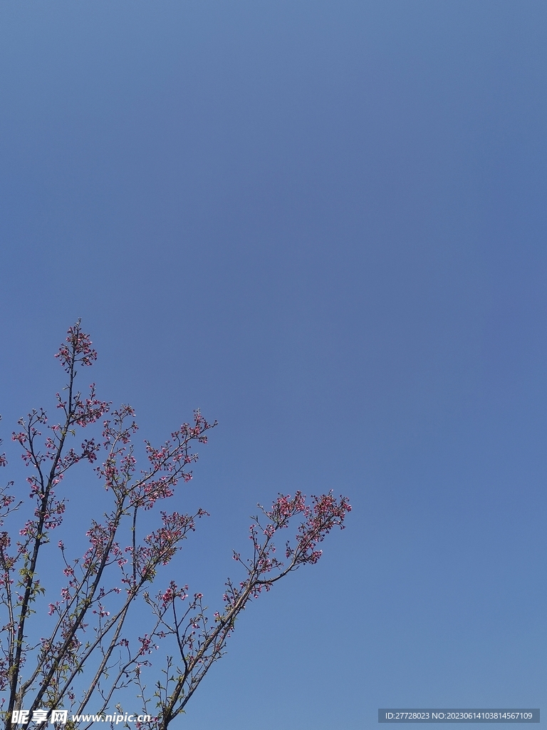 蓝天