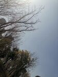 夏天 阳光