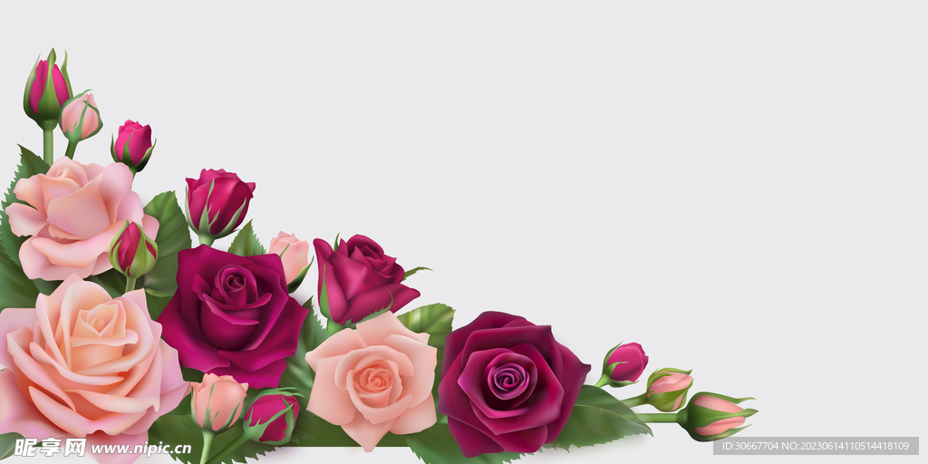 玫瑰花