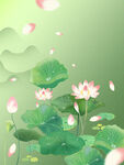  荷花背景