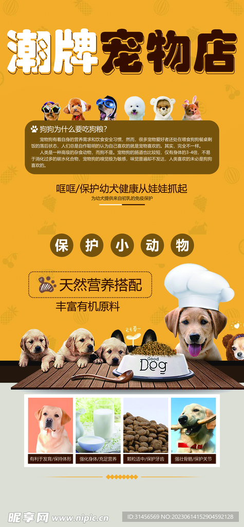宠物店