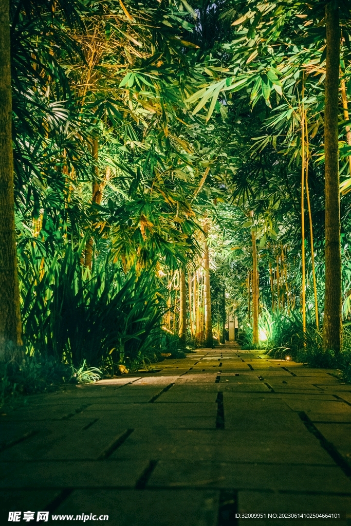 竹林             