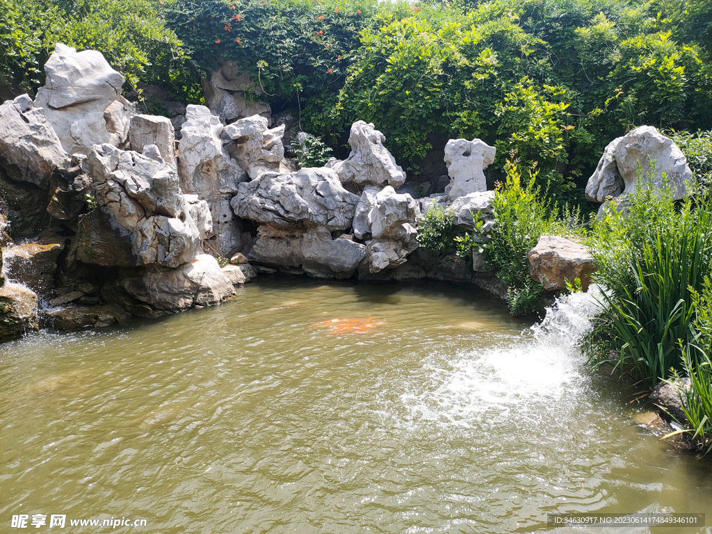 小鱼池