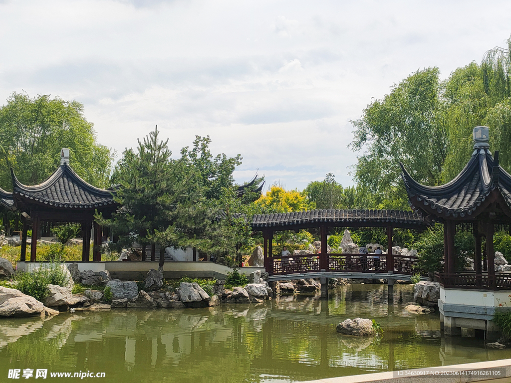 庭院