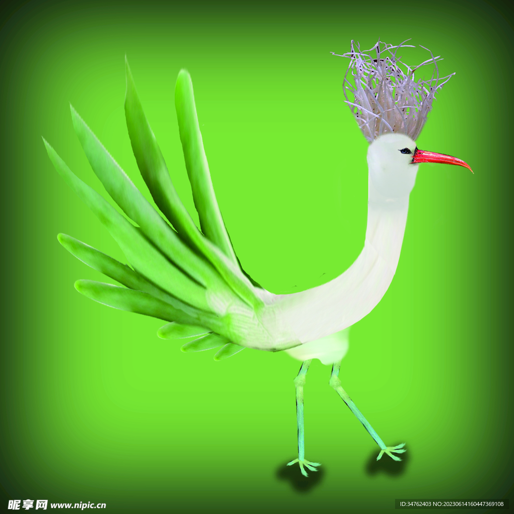 鸡