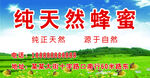 蜂蜜不干胶 蜂蜜瓶贴