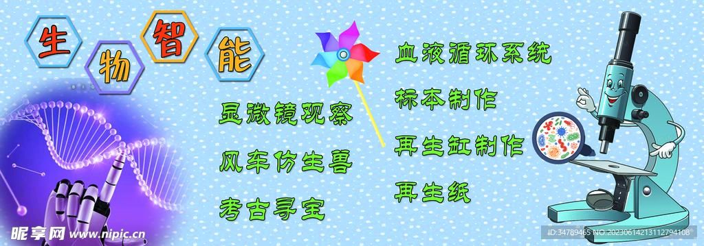 儿童生物智能 
