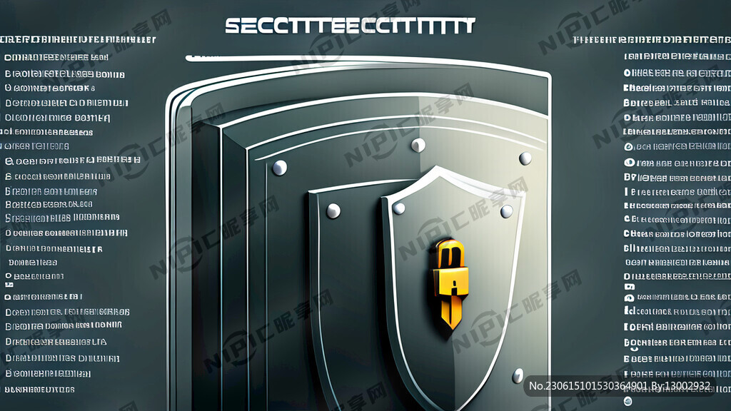 信息安全 网络安全