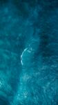 海边