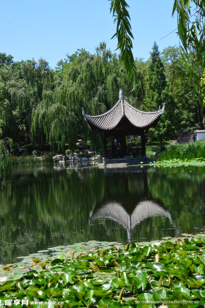 陶然亭风景 