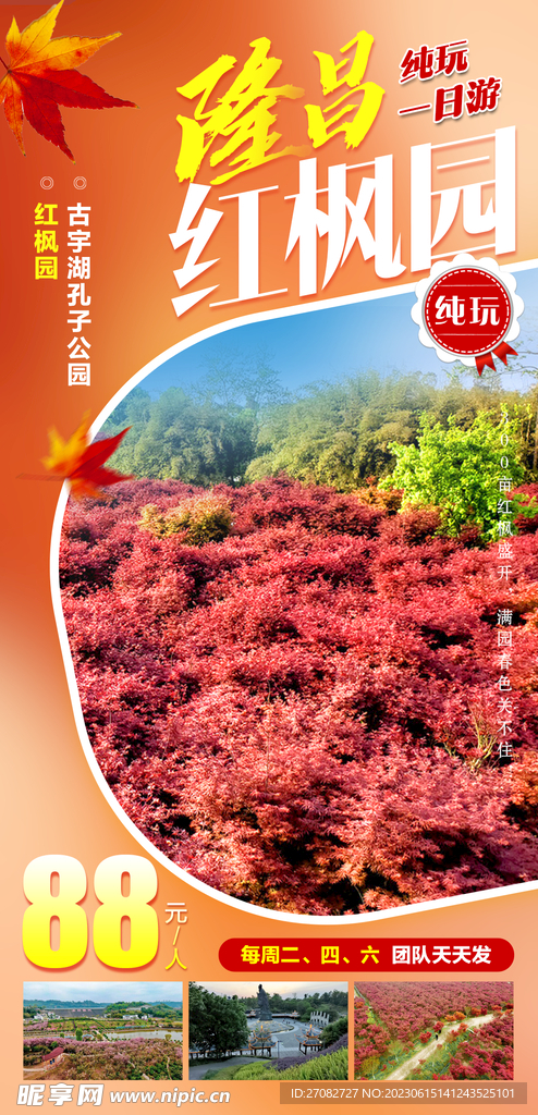 红枫园红叶旅游海报