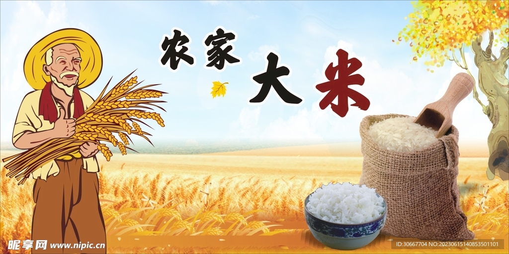 大米
