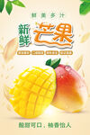 新鲜芒果