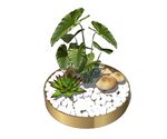 绿色植物小盆栽模型
