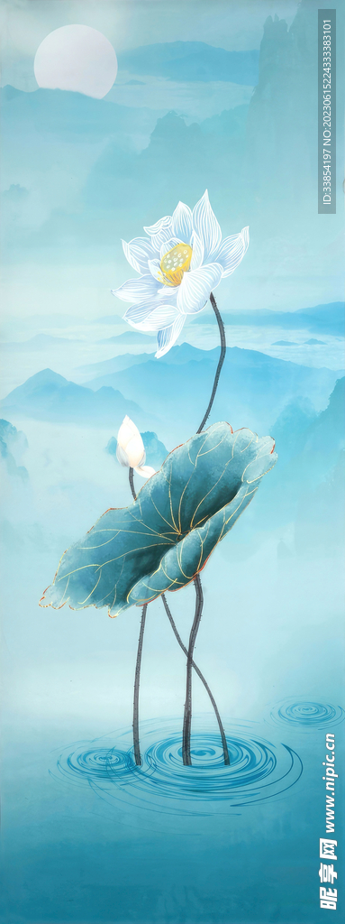荷花图片