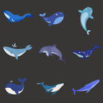 可爱海洋蓝色鲸鱼