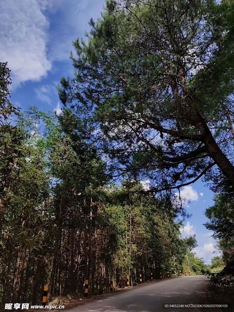 路途的风景