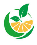 水果标志 橘子 卡通画