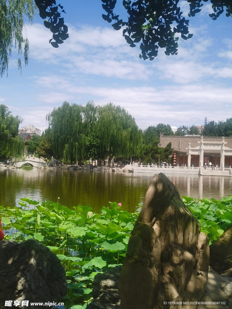 公园风景