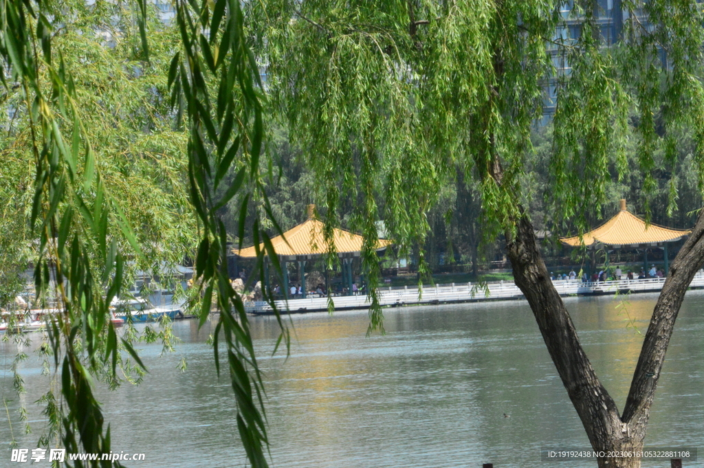 公园风景  