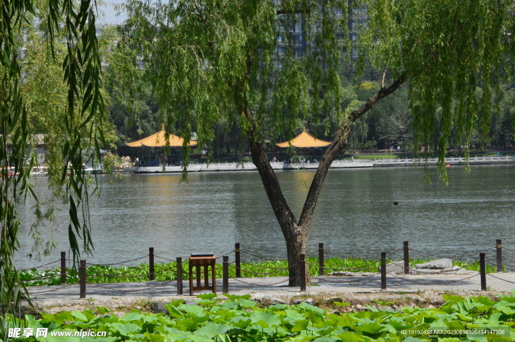 公园风景