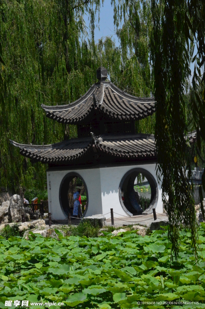 公园风景 