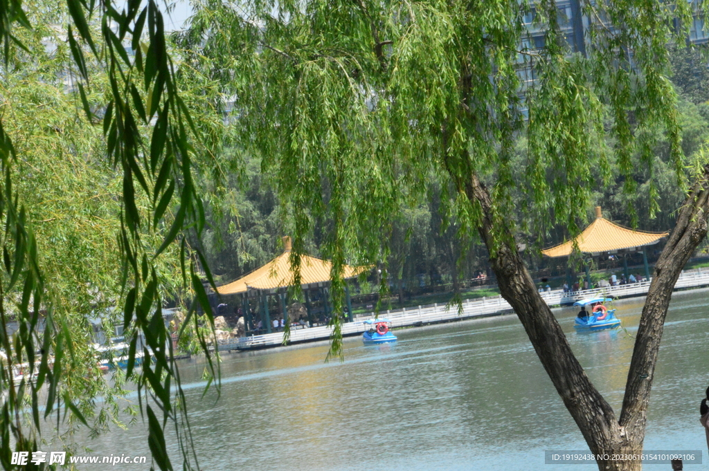 公园风景