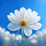 一片白色逼真带露珠的花，蓝色的天空