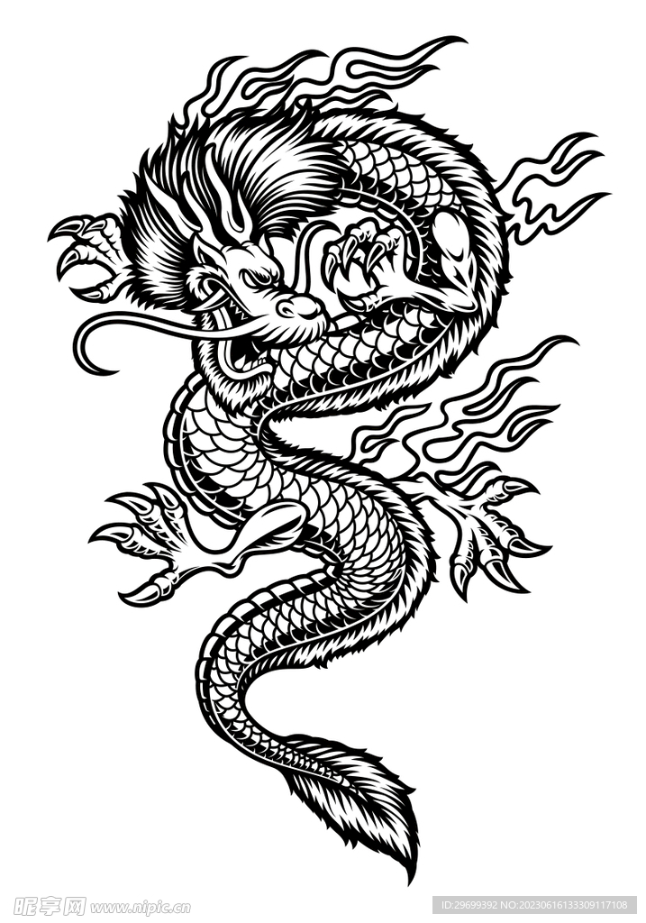 中国龙