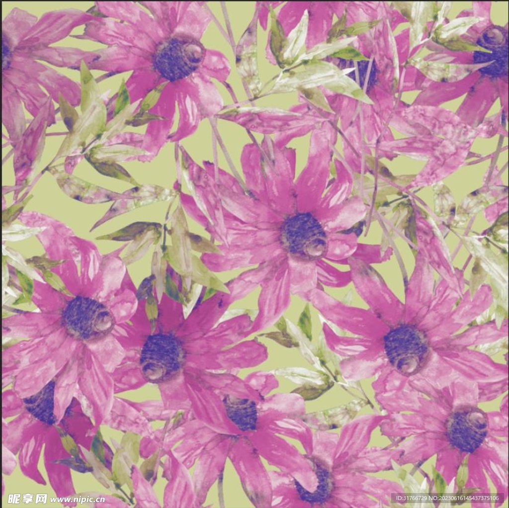 大牌花