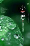小暑露珠海报