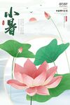 小暑荷花开 