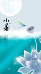小暑蜻蜓飞节气海报