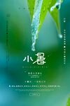 小暑节气宣传海报