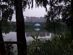 重庆璧山观音塘湿地公园