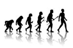 人类进化图标