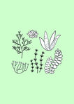 简笔画植物
