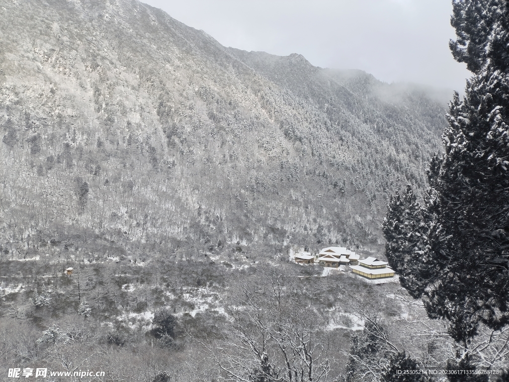 四川九寨沟原始森林雪山