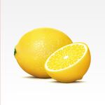 矢量水果柠檬图片