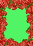 草莓 矢量手绘素材图片