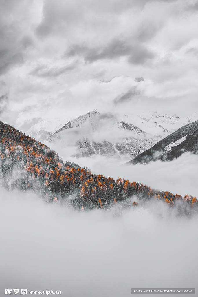 雪山 装饰画 山脉