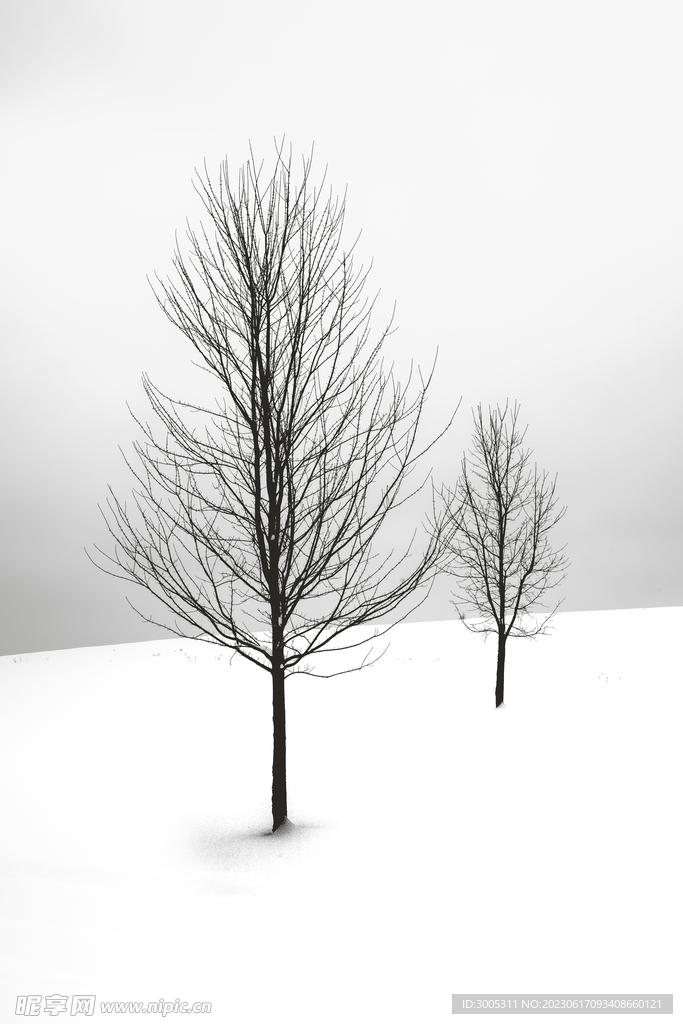 雪地风景画 装饰画 树