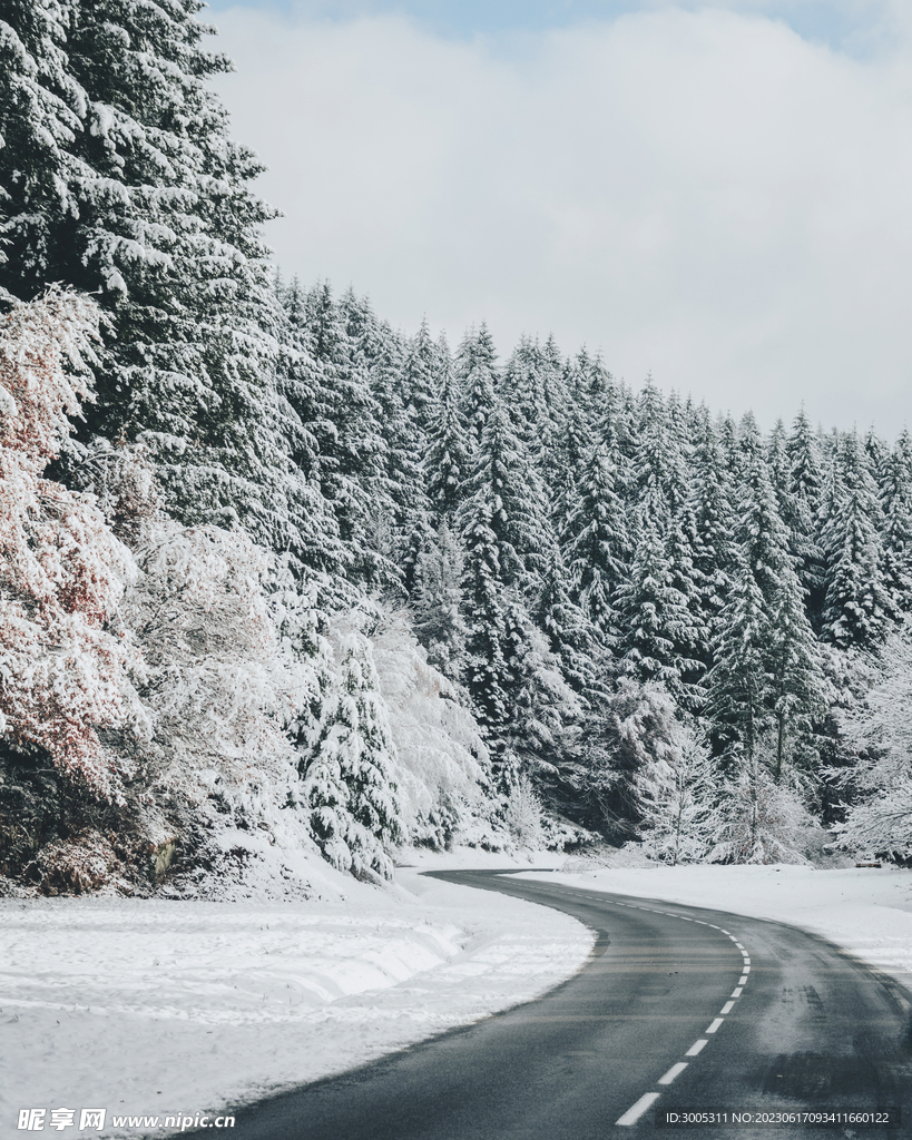 雪山 装饰画 公路 森林风