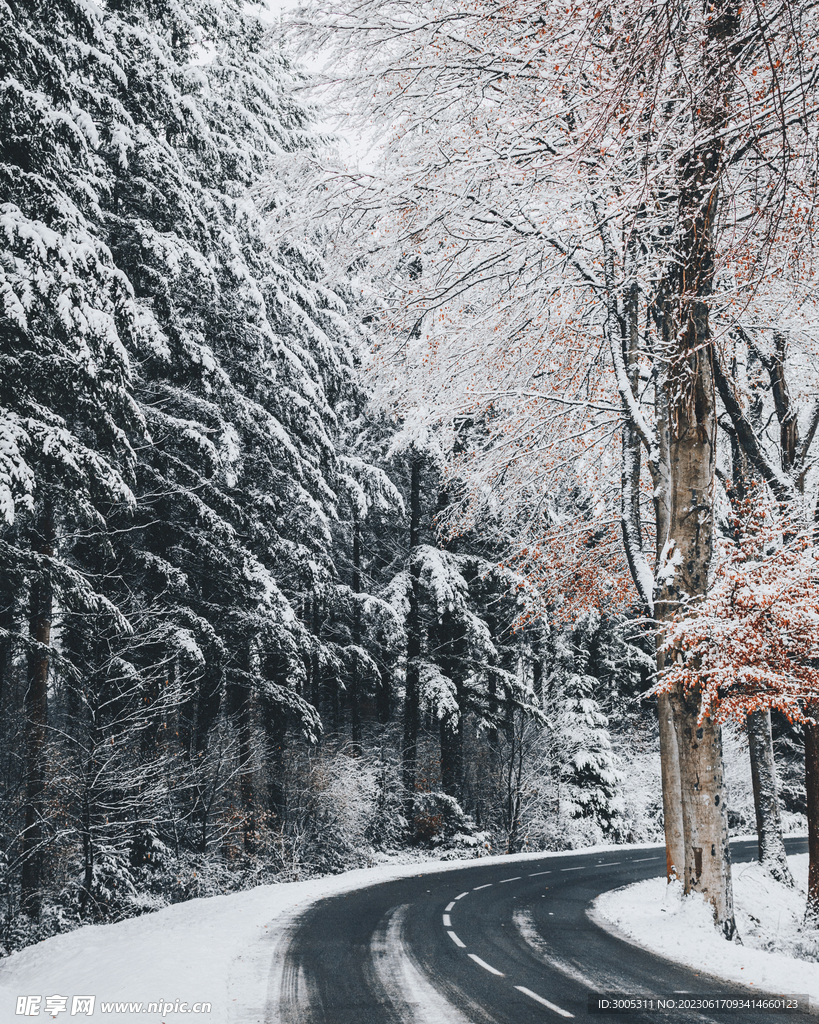 雪山 装饰画 公路 森林风