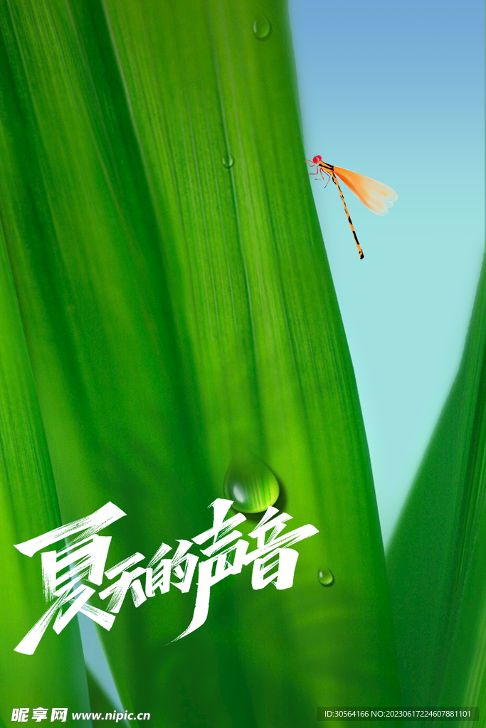 夏至