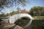 高清图片公园拱形桥