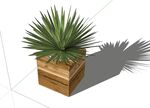 绿色植物模型